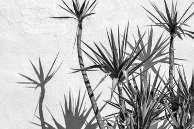 Against A Wall I by Joseph S. Giacalone framed canvas print