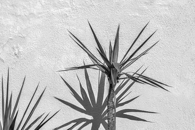 Against A Wall II by Joseph S. Giacalone framed canvas print