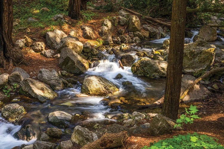 Peace by Joseph S. Giacalone wall art