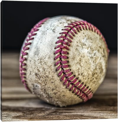 Take Me Out To The Ballgame II Canvas Art Print - Sports Lover