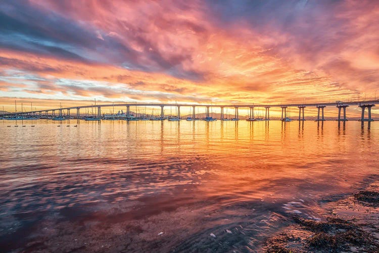 Fiery Reflection, Coronado by Joseph S. Giacalone wall art