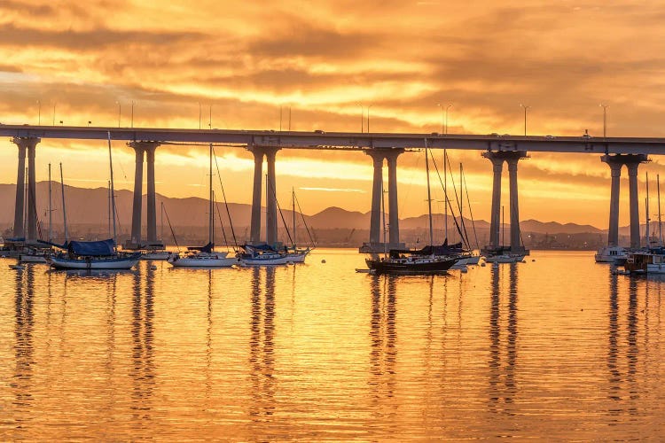 Burnt Orange, Coronado by Joseph S. Giacalone wall art