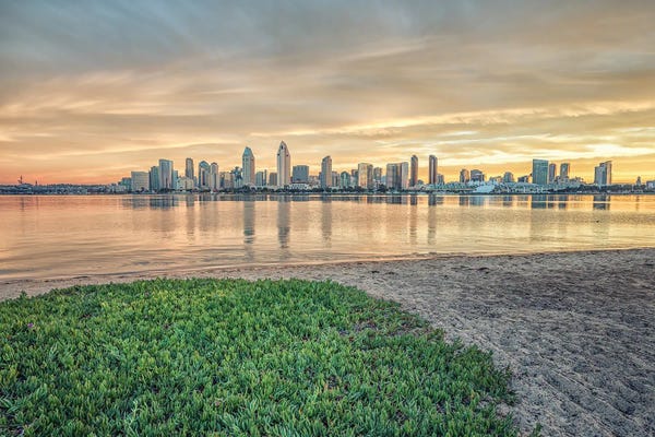 Patch Of Green At Sunrise