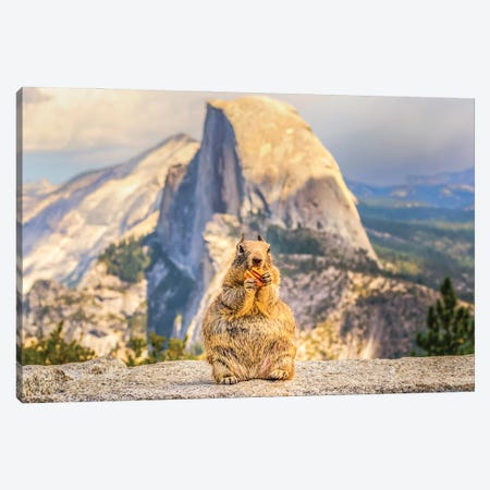 A Squirrel And Half Dome Canvas Print #JGL22} by Joseph S. Giacalone Canvas Print