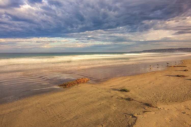 Mission Beach Beauty