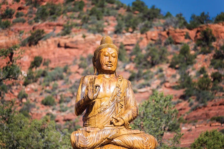 Pure Peace In Sedona by Joseph S. Giacalone wall art