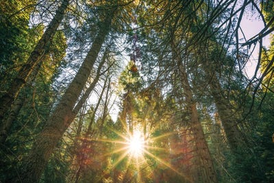 Palomar Mountain Shines by Joseph S. Giacalone acrylic art print