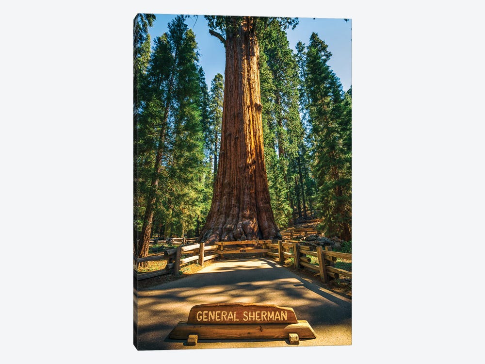 The General Sherman by Joseph S. Giacalone 1-piece Canvas Wall Art
