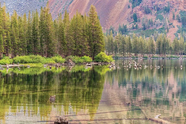 Lake Mary Beauty