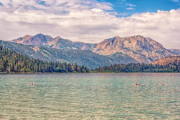 June Lake Majesty