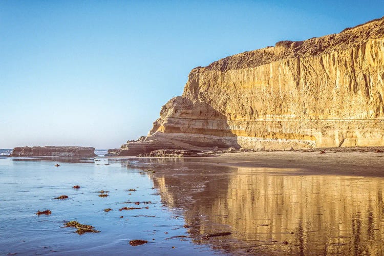 The Wall, Torrey Pines State Beach by Joseph S. Giacalone wall art