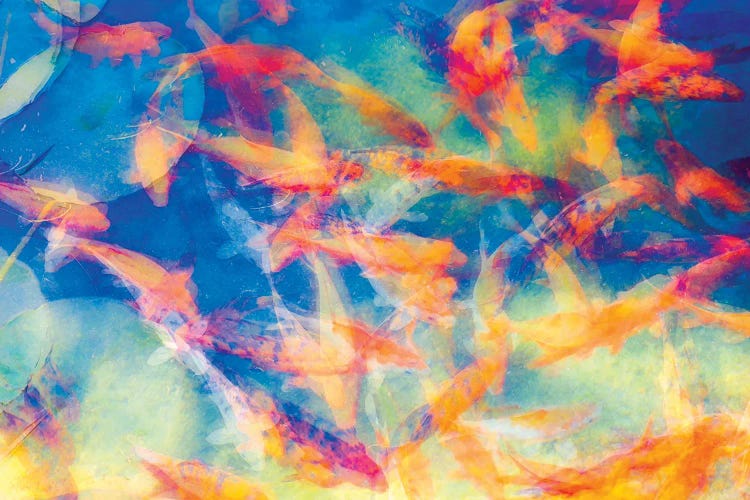 Koi In Motion by Joseph S. Giacalone wall art