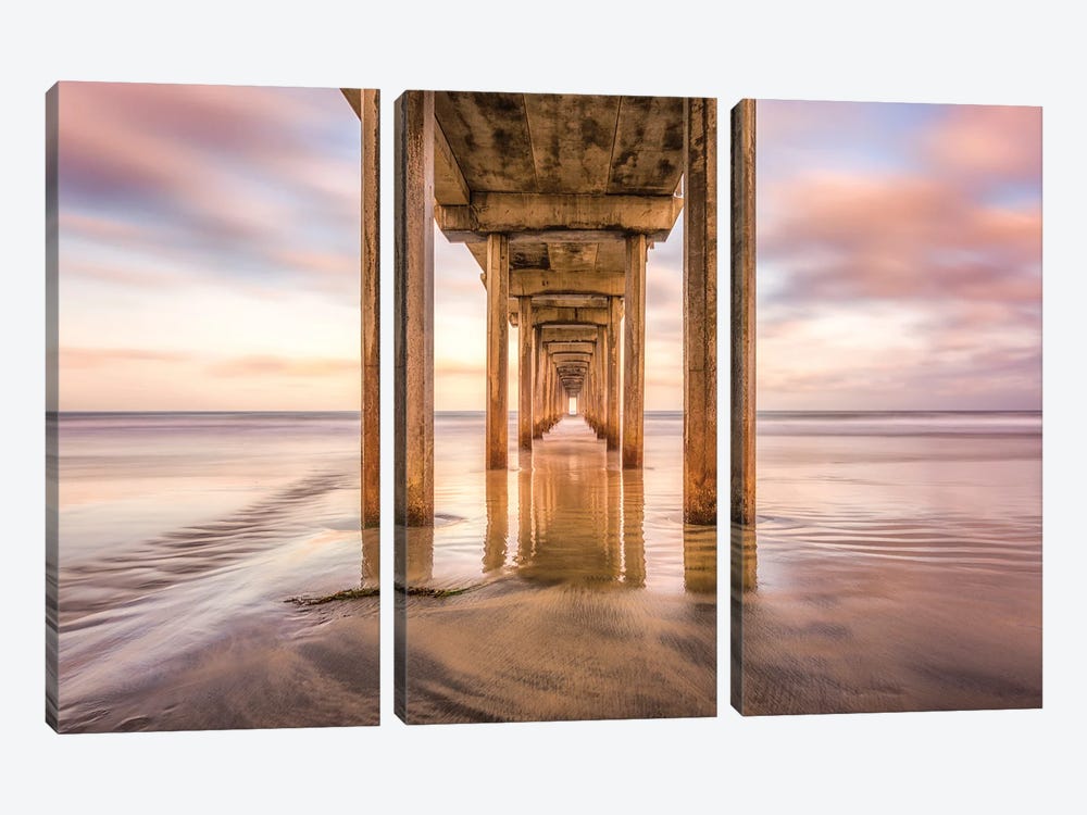 Rooted In Sand, Scripps Pier by Joseph S. Giacalone 3-piece Canvas Art