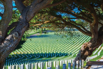 Fort Rosecrans National Cemetery by Joseph S. Giacalone framed canvas print