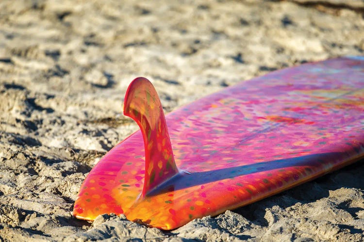 Single Fin Summer, La Jolla Shores Beach by Joseph S. Giacalone wall art