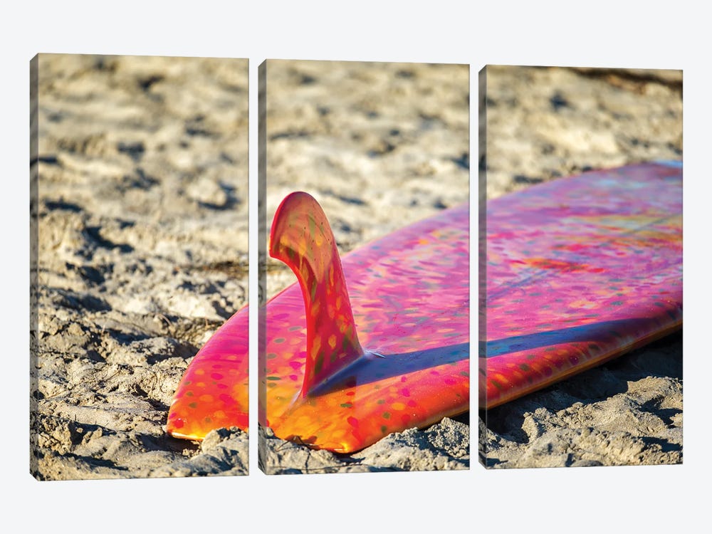 Single Fin Summer, La Jolla Shores Beach by Joseph S. Giacalone 3-piece Canvas Artwork