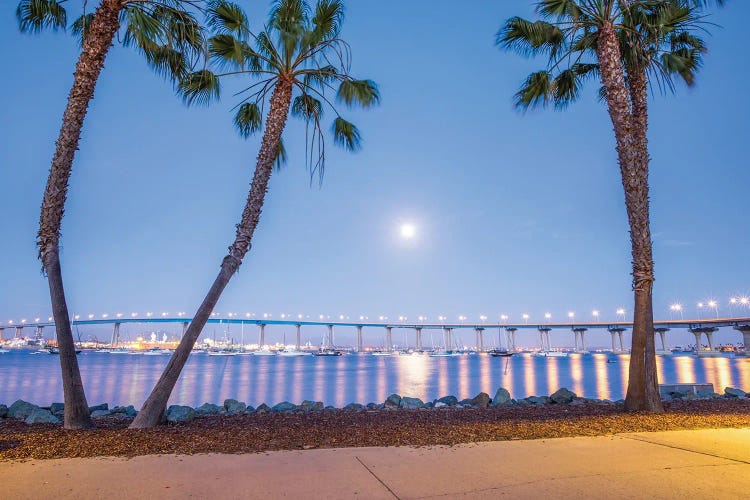 Coronado Nights by Joseph S. Giacalone wall art