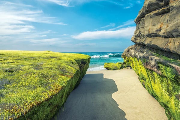 The Green Rocks, Windansea Beach