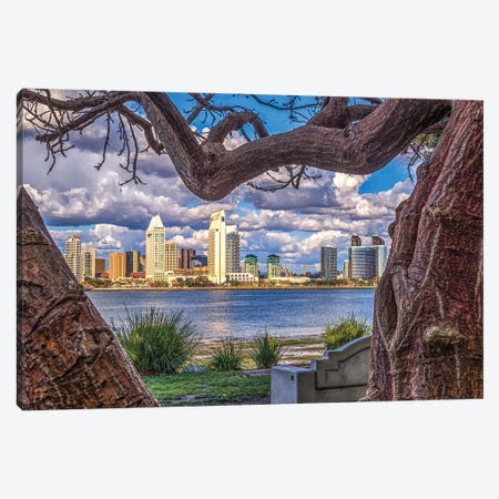A Natural Frame, San Diego Skyline Canvas Print #JGL314} by Joseph S. Giacalone Canvas Art