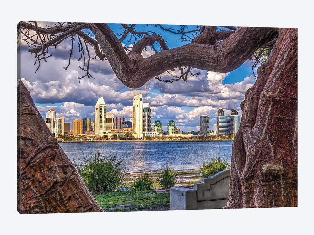 A Natural Frame, San Diego Skyline by Joseph S. Giacalone 1-piece Art Print