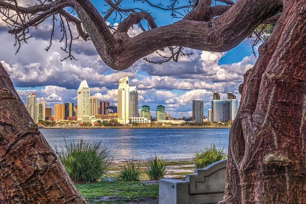 San Diego Skylines: A Natural Frame, San Diego Skyline by Joseph S. Giacalone