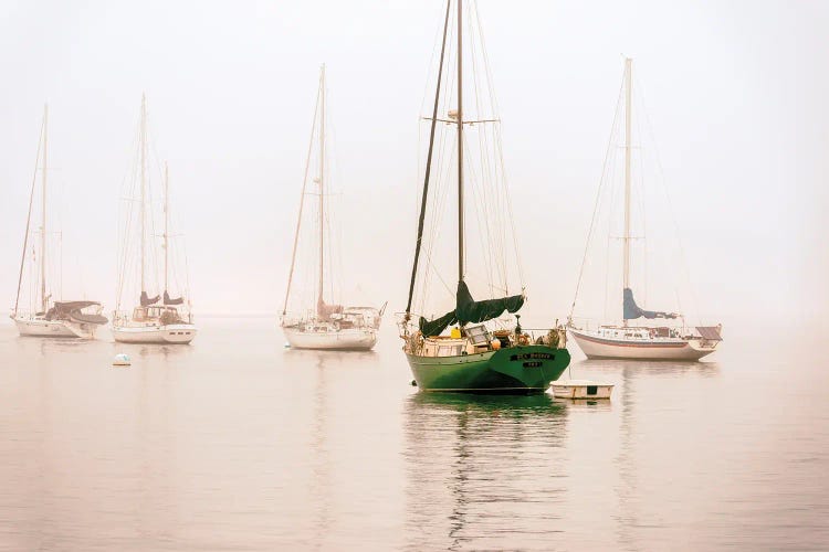 One In Green, San Diego Harbor