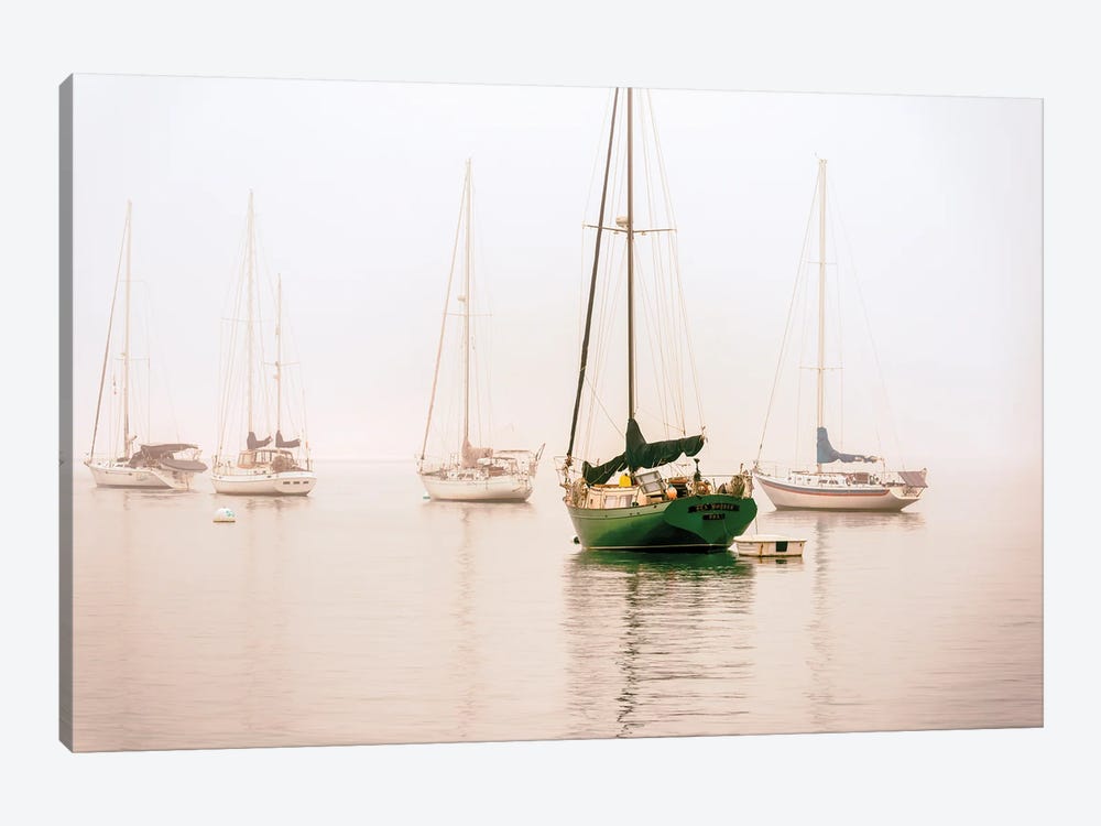 One In Green, San Diego Harbor by Joseph S. Giacalone 1-piece Canvas Art Print