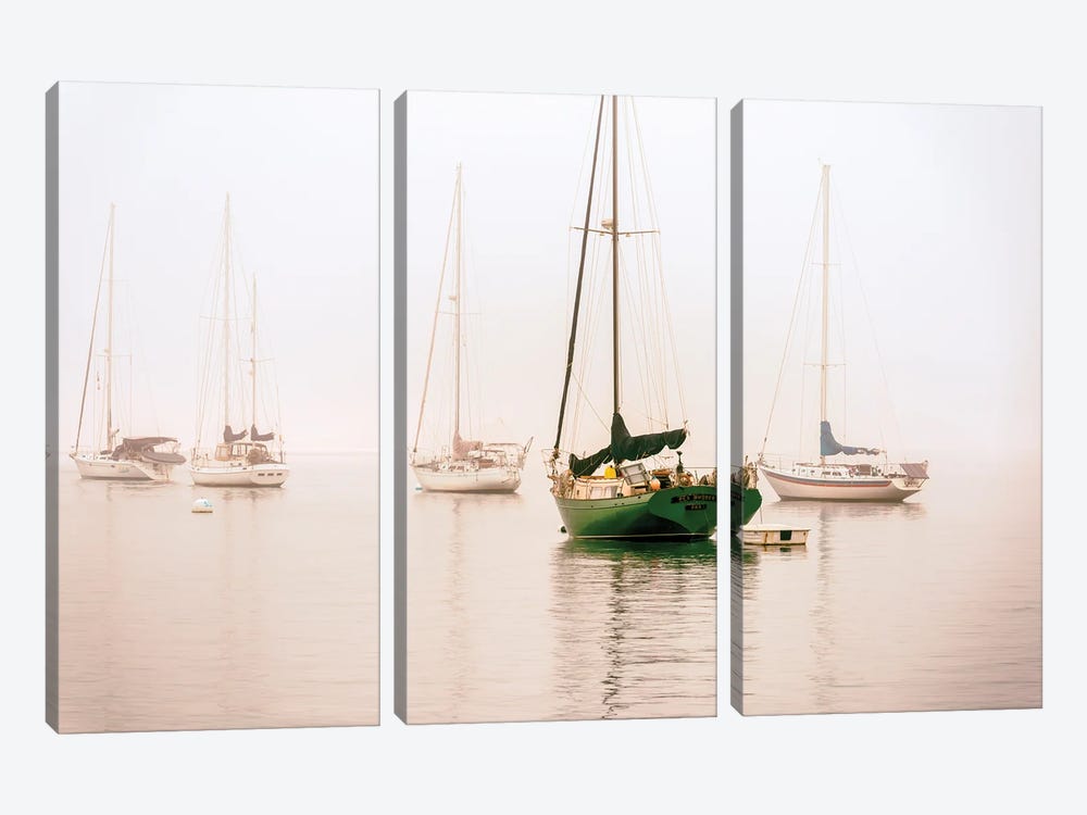 One In Green, San Diego Harbor by Joseph S. Giacalone 3-piece Art Print
