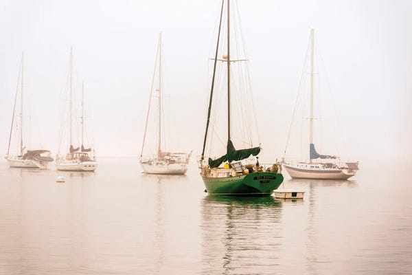 Harbors: One In Green, San Diego Harbor by Joseph S. Giacalone