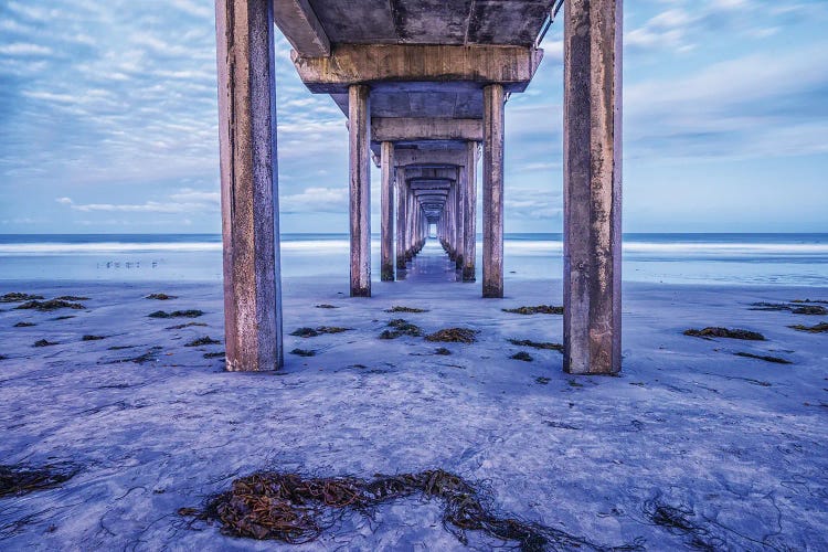 A Purplish Morning At Scripps Pier