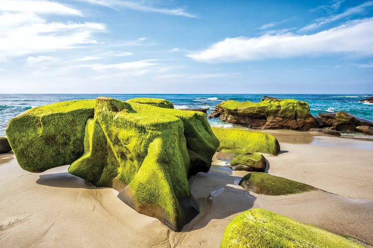 Green Rocks Of Windansea Beach