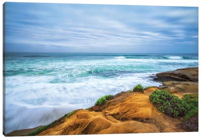 On A Cliff From Above Wipeout Beach, La Jolla Canvas Art Print - San Diego Art