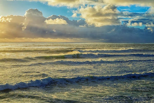San Diego: Winter Surf Winter Grace, La Jolla by Joseph S. Giacalone