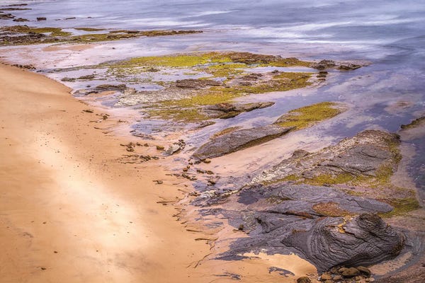 San Diego: Reef Meets Beach San Diego Coast by Joseph S. Giacalone