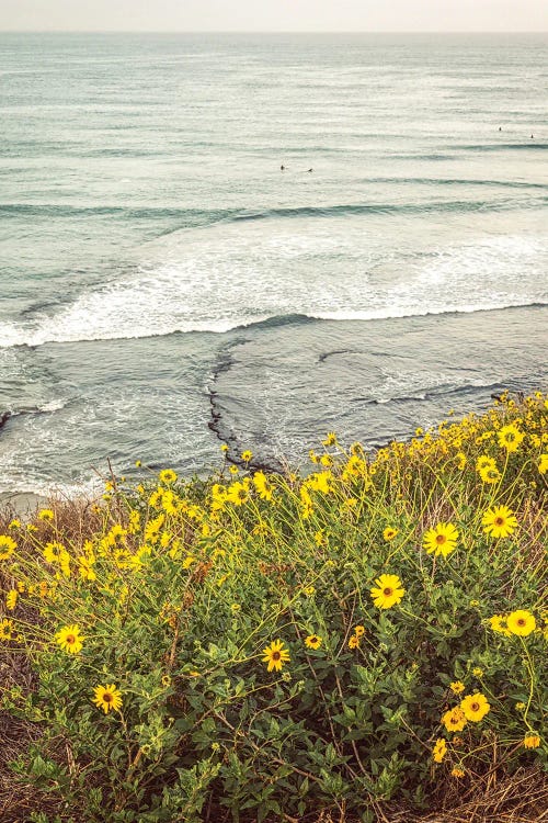 Wildflowers Above Swami's Beach by Joseph S. Giacalone wall art