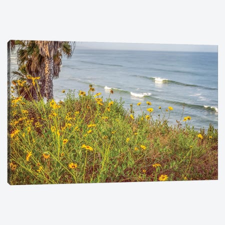 Wildflowers And Surf Encinitas California Canvas Print #JGL375} by Joseph S. Giacalone Canvas Art