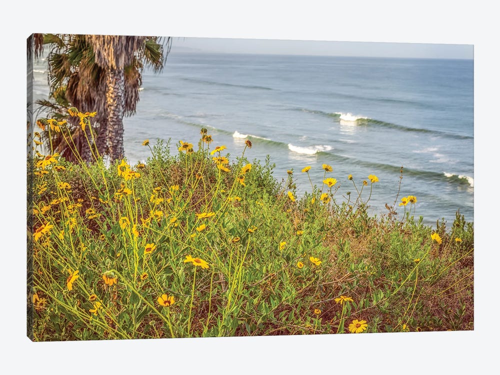 Wildflowers And Surf Encinitas California by Joseph S. Giacalone 1-piece Canvas Artwork