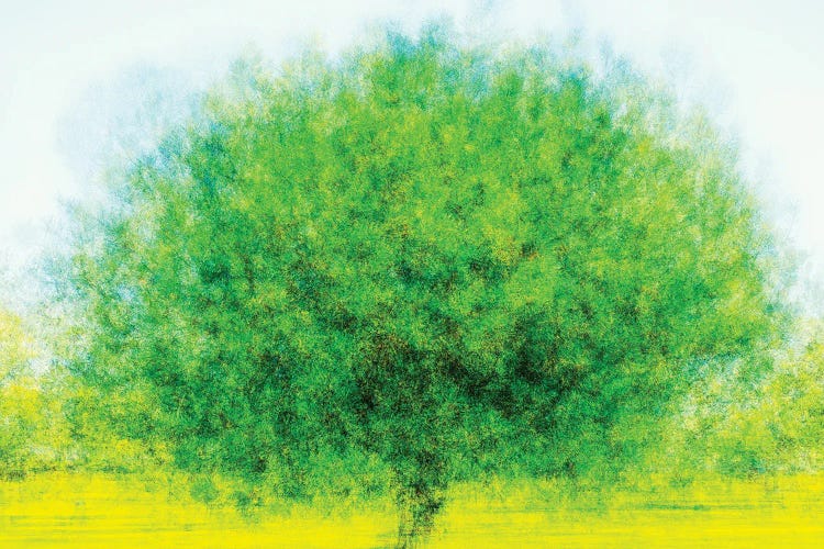 Pine Tree At The Park Impressionistic by Joseph S. Giacalone wall art