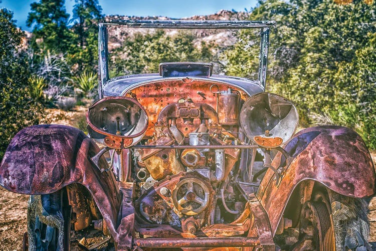 Old Timer Joshua Tree National Park