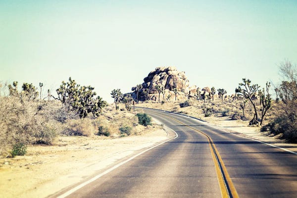 Joshua Tree National Park: Road Trip Vibes Joshua Tree National Park by Joseph S. Giacalone