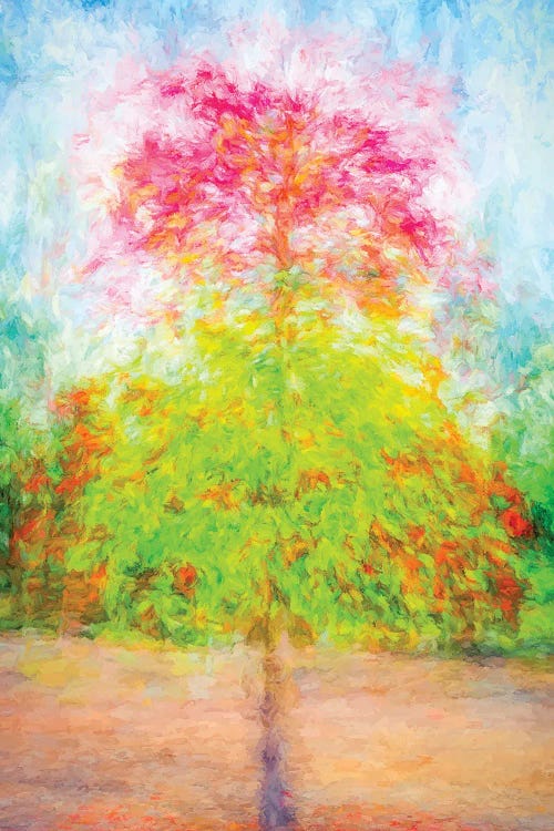The Most Lovely Tree by Joseph S. Giacalone wall art