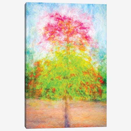 The Most Lovely Tree Canvas Print #JGL400} by Joseph S. Giacalone Canvas Print