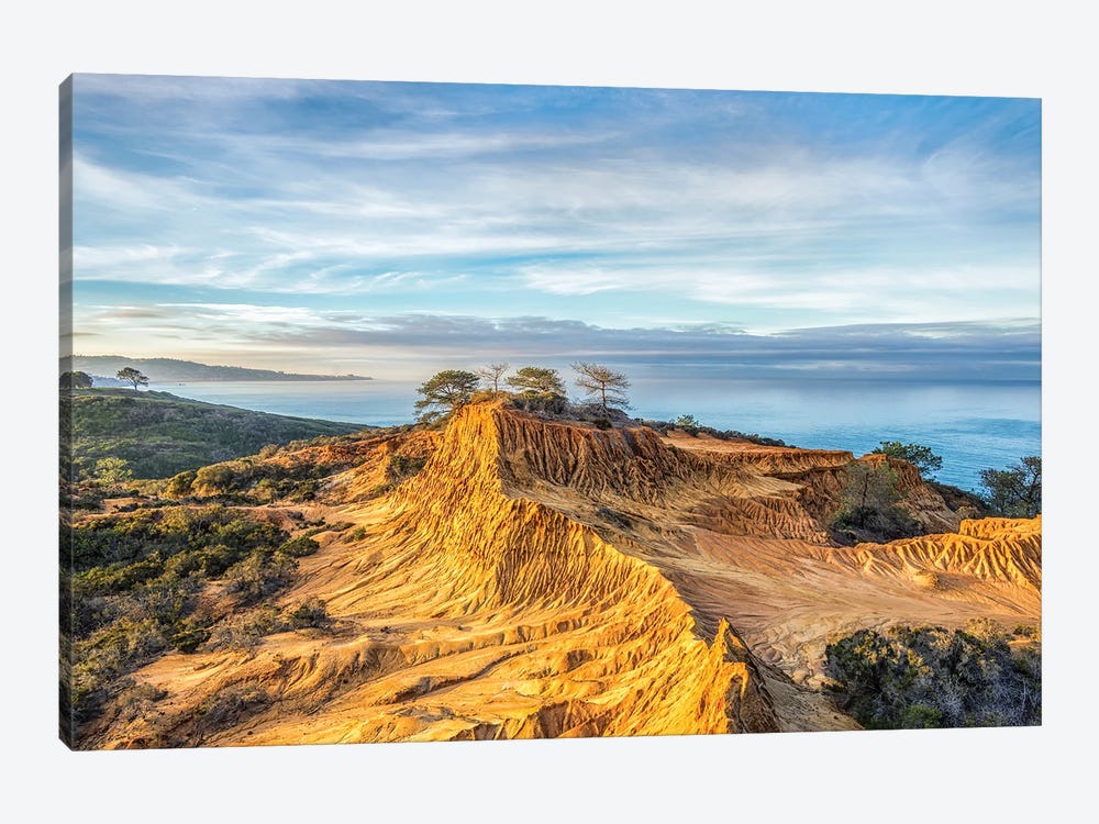 Broken Hill Beauty Torrey Pines State Reserve by Joseph S. Giacalone 1-piece Canvas Artwork