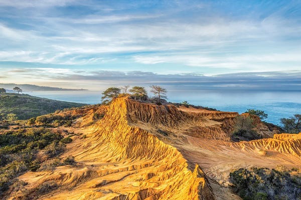 San Diego: Broken Hill Beauty Torrey Pines State Reserve by Joseph S. Giacalone