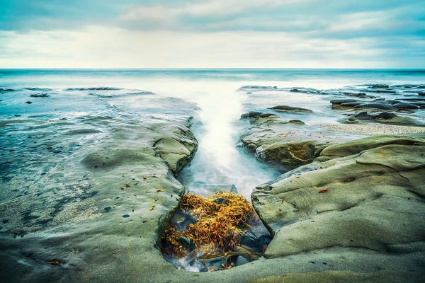 San Diego: Gold In The Reef La Jolla Coast by Joseph S. Giacalone