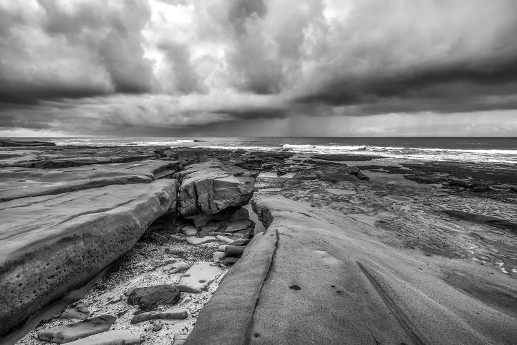 Hospital's Reef La Jolla Coast Monochrome