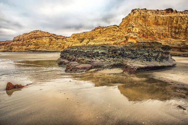 Rocky Beaches: Torrey Pines State Beach Beauty by Joseph S. Giacalone