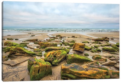 Rocks By The Sea, Torrey Pines State Beach Canvas Art Print - San Diego Art