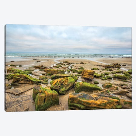 Rocks By The Sea, Torrey Pines State Beach Canvas Print #JGL417} by Joseph S. Giacalone Art Print