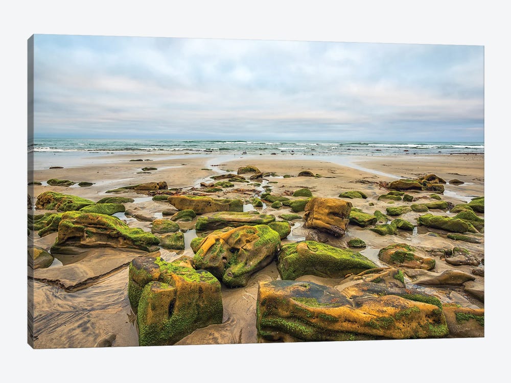 Rocks By The Sea, Torrey Pines State Beach by Joseph S. Giacalone 1-piece Canvas Art Print